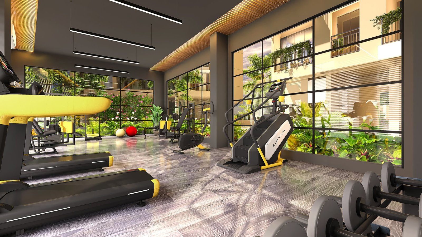 Modern Fitness Gym